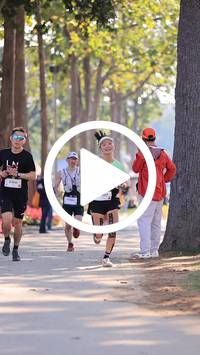 BIB:  <button type="button" onclick="openModal(27608855)" class="btn btn-primary btn-sm float-right" data-toggle="modal" data-target=".modal-high-quality">
                <i class="fa fa-download"></i> Download
                </button>